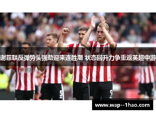 谢菲联反弹势头强劲迎来连胜潮 状态回升力争重返英超中游