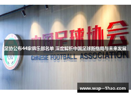足协公布44家俱乐部名单 深度解析中国足球新格局与未来发展