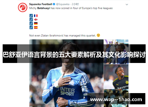 巴舒亚伊语言背景的五大要素解析及其文化影响探讨