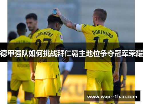 德甲强队如何挑战拜仁霸主地位争夺冠军荣耀