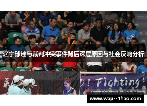 辽宁球迷与裁判冲突事件背后深层原因与社会反响分析