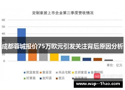 成都蓉城报价75万欧元引发关注背后原因分析