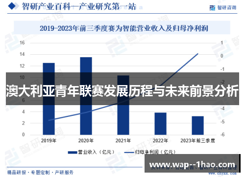 澳大利亚青年联赛发展历程与未来前景分析 澳大利亚青年联赛发展历程与未来前景分析