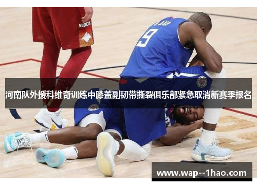 河南队外援科维奇训练中膝盖副韧带撕裂俱乐部紧急取消新赛季报名